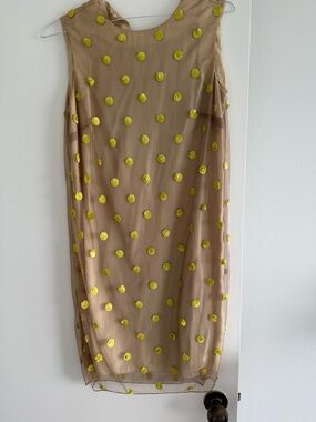 Beige Sheer Polka Dot Midi Skirt with Yellow Embroidery